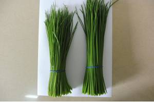 Chives from Kenya